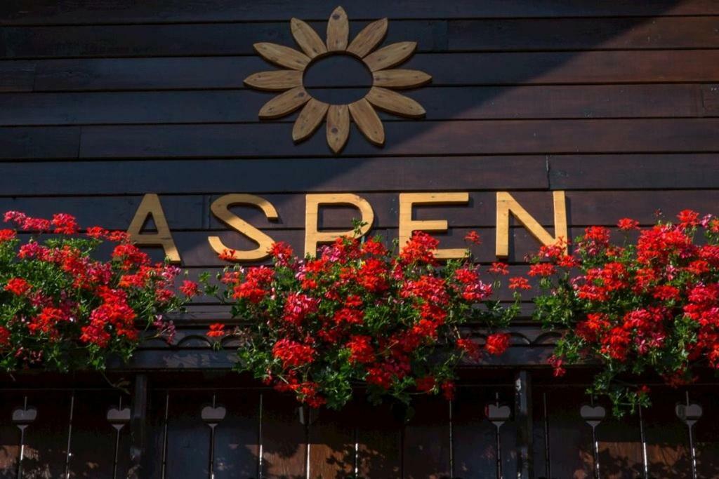 Апартаменты Aspen Нова-Лесна Экстерьер фото